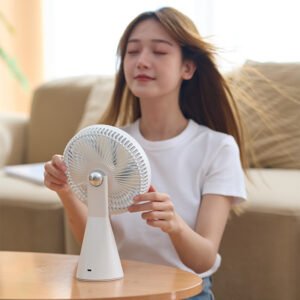desktop fan